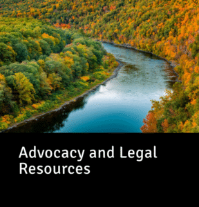 Advocacy and Legal Resources"